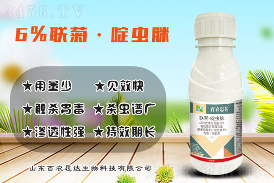 蚜虫、白粉虱、蓟马泛滥怎么办?联苯菊酯+啶虫脒复配有奇效! 蚜虫、白粉虱、蓟马泛滥怎么办?联苯菊酯+啶虫脒复配有奇效!