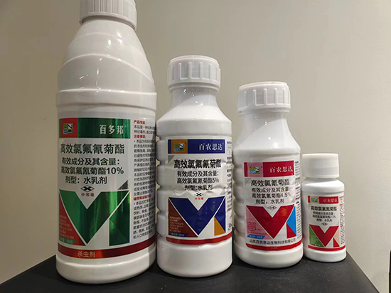 寰俊鍥剧墖_20250509110748.jpg 寰俊鍥剧墖_20250509110748.jpg